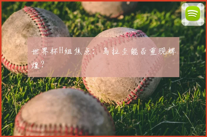 世界杯H组焦点：乌拉圭能否重现辉煌？