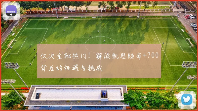 仅次金靴热门！解读凯恩赔率+700背后的机遇与挑战