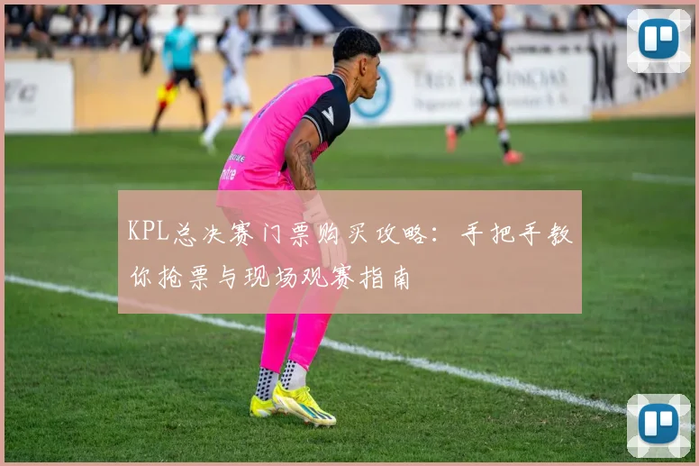 KPL总决赛门票购买攻略：手把手教你抢票与现场观赛指南
