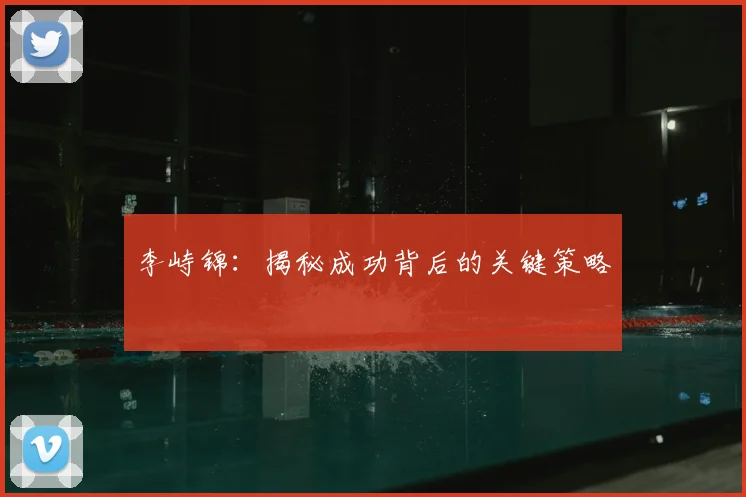 李峙锦：揭秘成功背后的关键策略